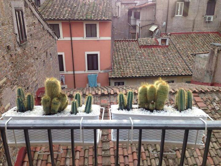 ローマCampo Dei Fiori Funny Flatアパートメント エクステリア 写真